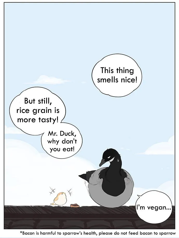 Southern Bird and Northern Bird Chapter 38 page 8 - 