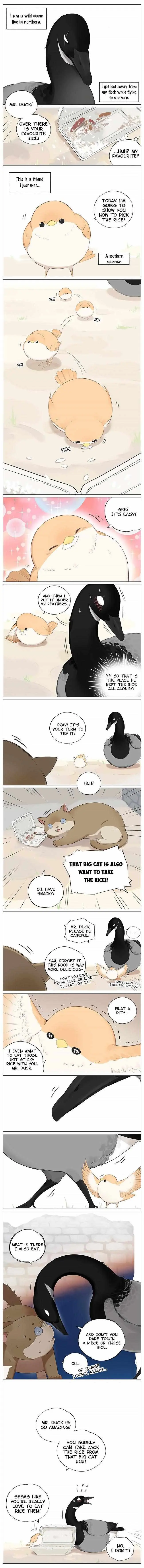 Southern Bird and Northern Bird Chapter 4 page 1 - 