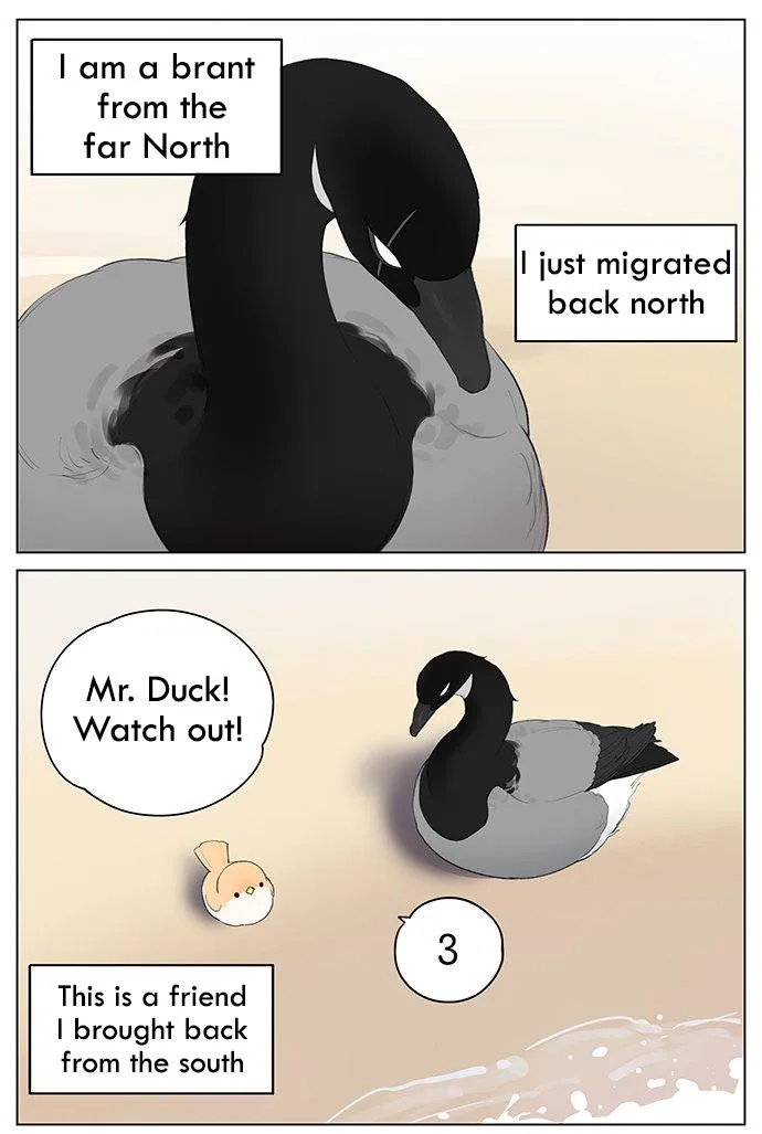Southern Bird and Northern Bird Chapter 40 page 2 - 