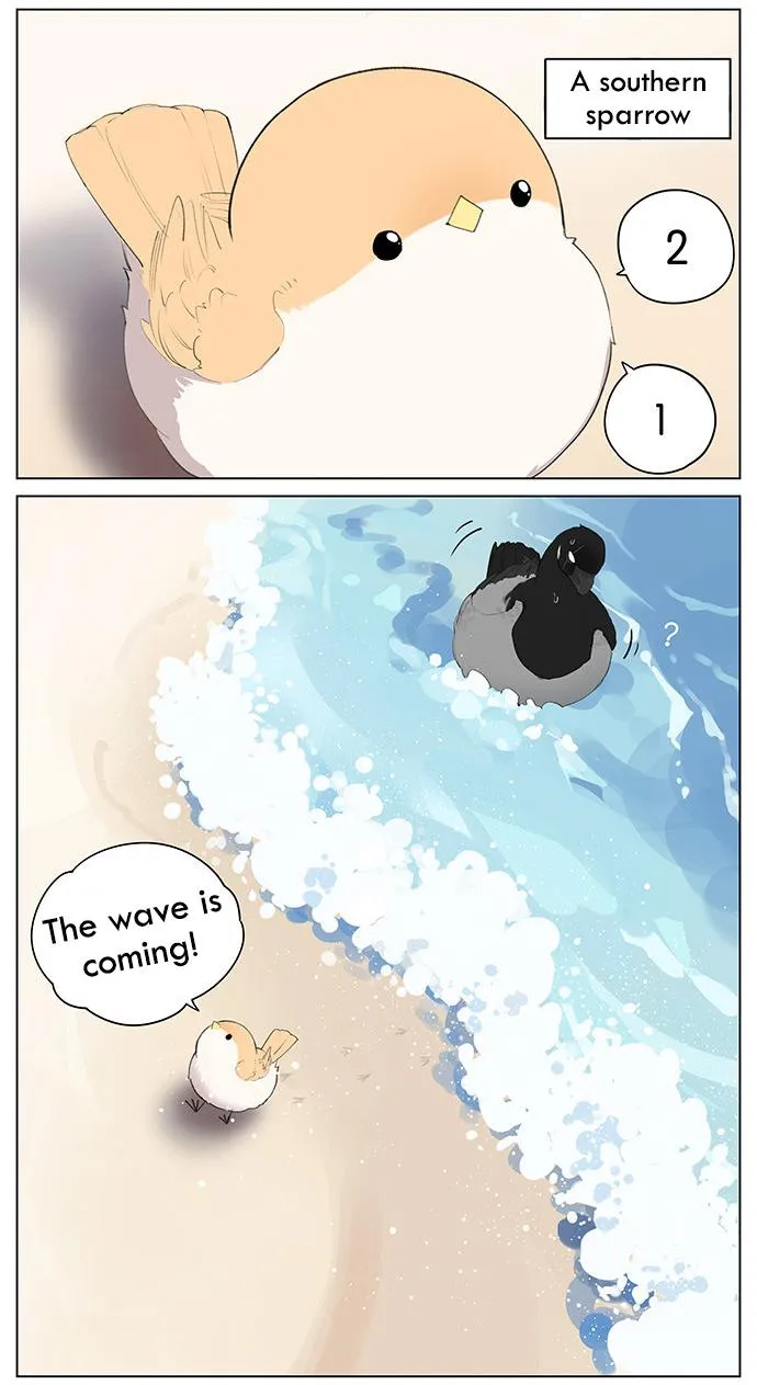 Southern Bird and Northern Bird Chapter 40 page 3 - 