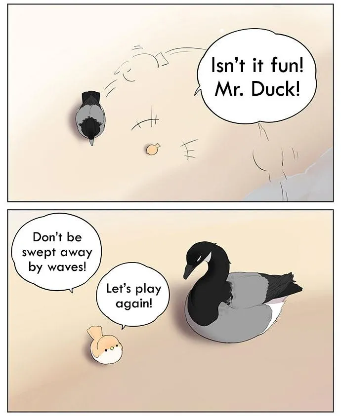 Southern Bird and Northern Bird Chapter 40 page 4 - 
