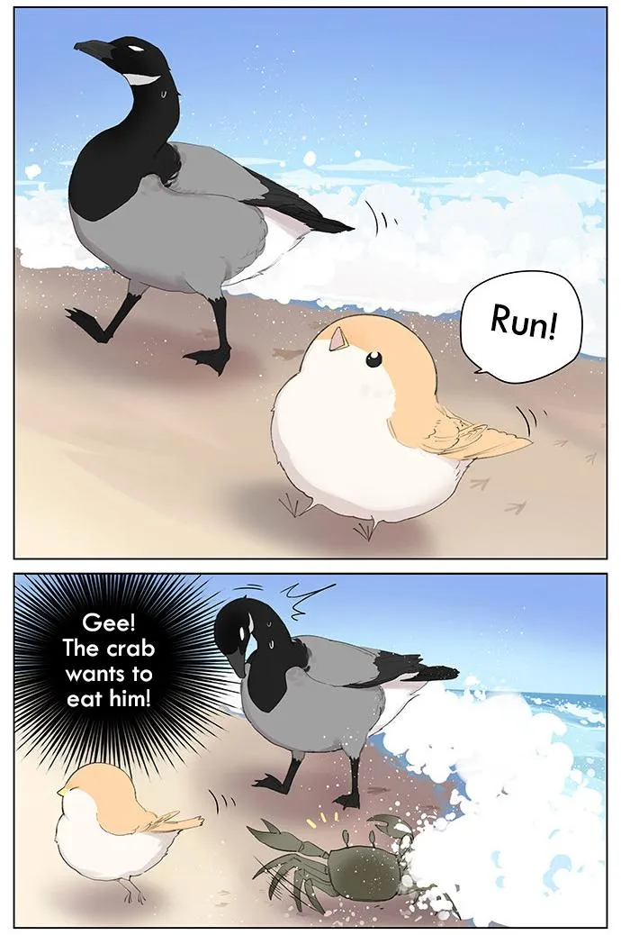Southern Bird and Northern Bird Chapter 40 page 5 - 