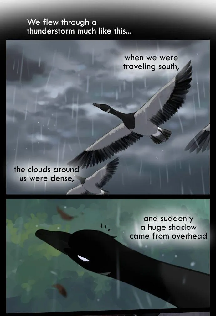 Southern Bird and Northern Bird Chapter 42 page 5 - 