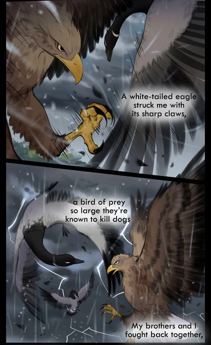 Southern Bird and Northern Bird Chapter 42 page 6 - 