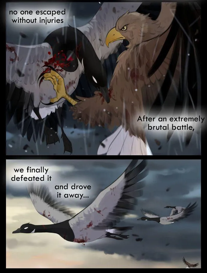 Southern Bird and Northern Bird Chapter 42 page 7 - 