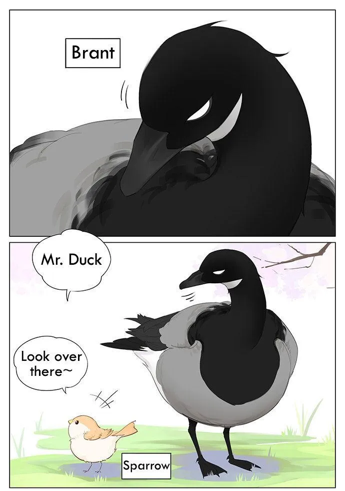 Southern Bird and Northern Bird Chapter 43 page 1 - 