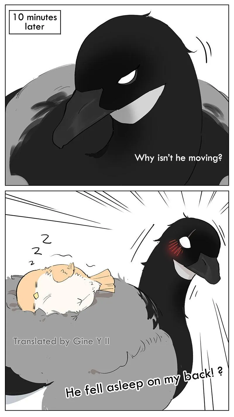 Southern Bird and Northern Bird Chapter 46 page 3 - 
