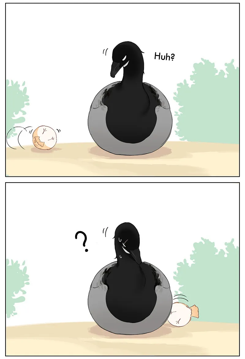 Southern Bird and Northern Bird Chapter 48 page 4 - 