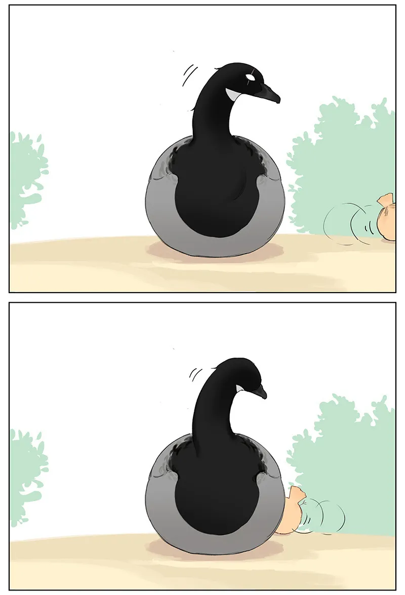 Southern Bird and Northern Bird Chapter 48 page 5 - 
