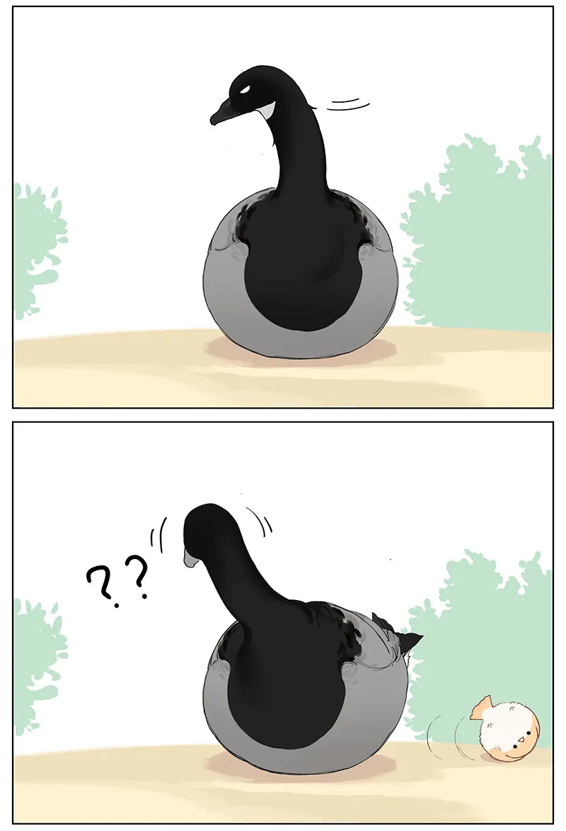 Southern Bird and Northern Bird Chapter 48 page 6 - 