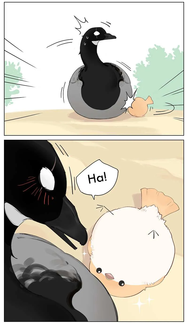 Southern Bird and Northern Bird Chapter 48 page 7 - 