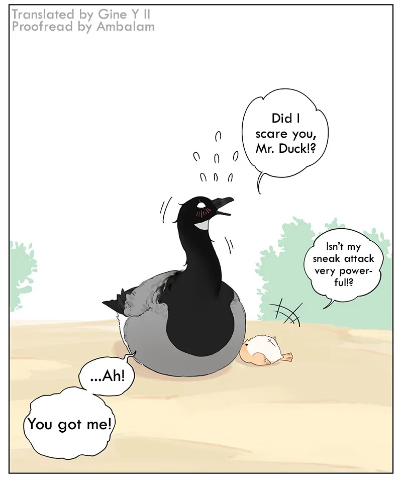 Southern Bird and Northern Bird Chapter 48 page 8 - 