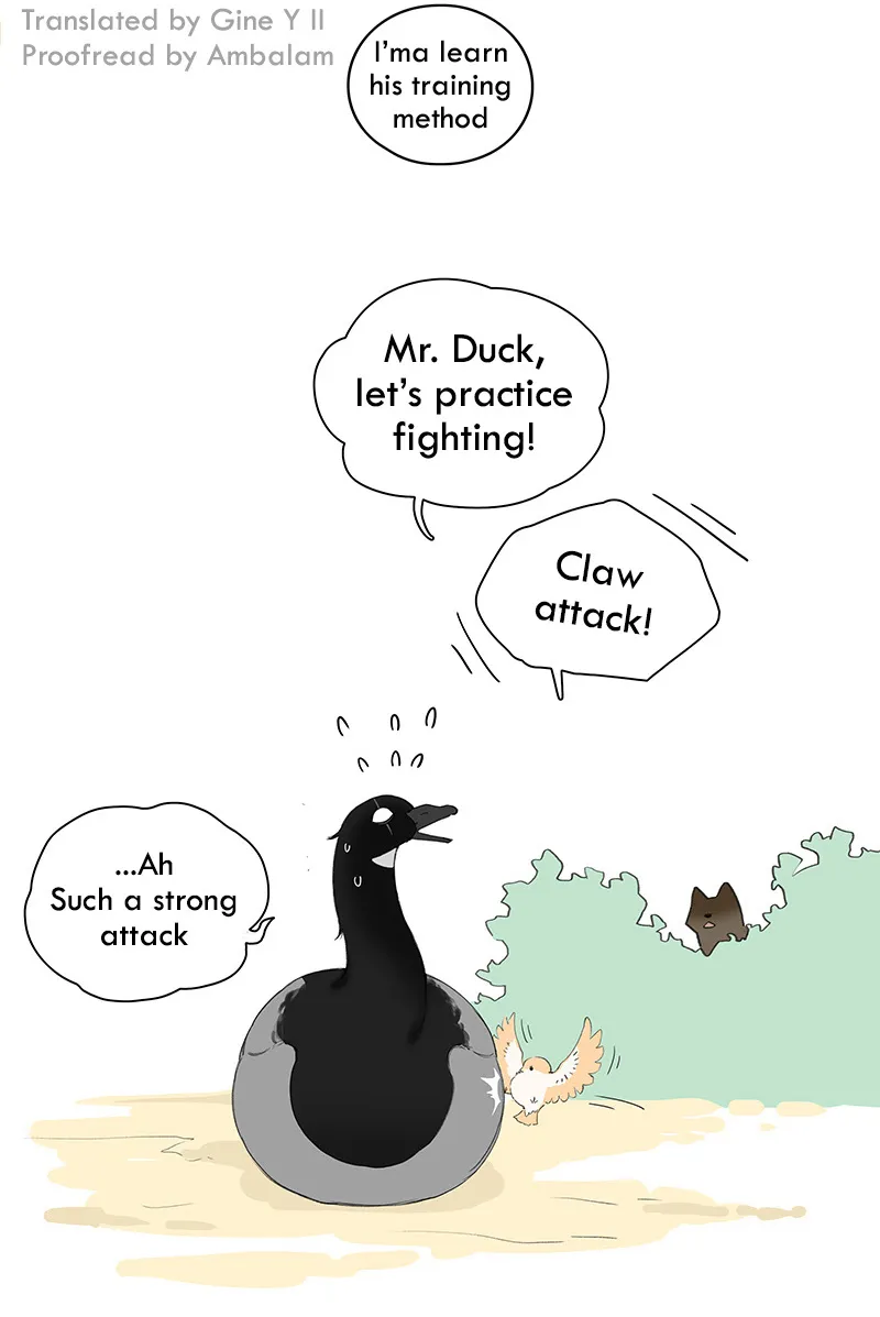 Southern Bird and Northern Bird Chapter 48 page 10 - 