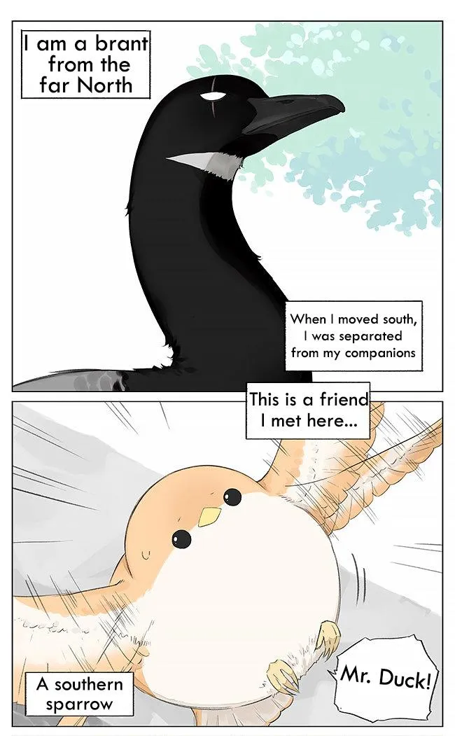 Southern Bird and Northern Bird Chapter 5 page 1 - 