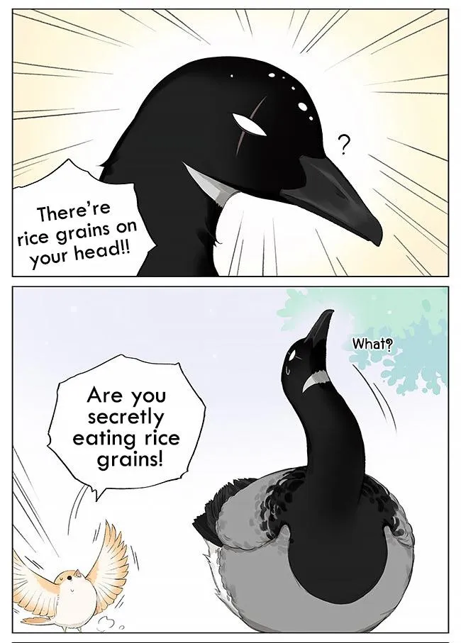 Southern Bird and Northern Bird Chapter 5 page 2 - 