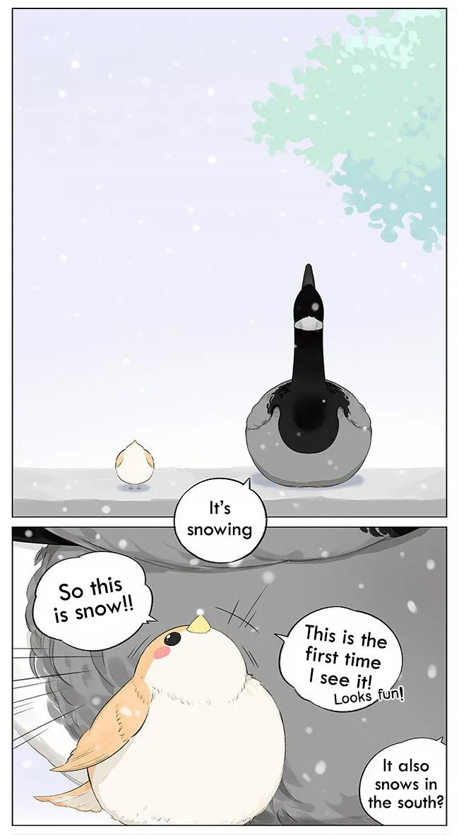 Southern Bird and Northern Bird Chapter 5 page 3 - 