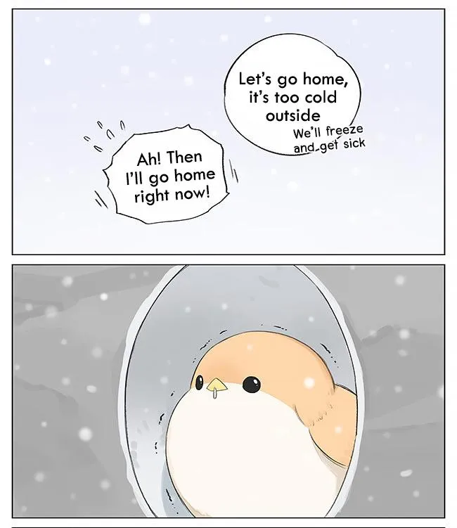 Southern Bird and Northern Bird Chapter 5 page 4 - 