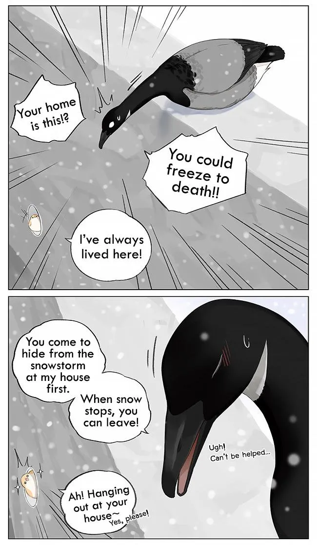 Southern Bird and Northern Bird Chapter 5 page 5 - 