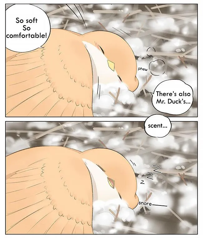 Southern Bird and Northern Bird Chapter 5 page 7 - 