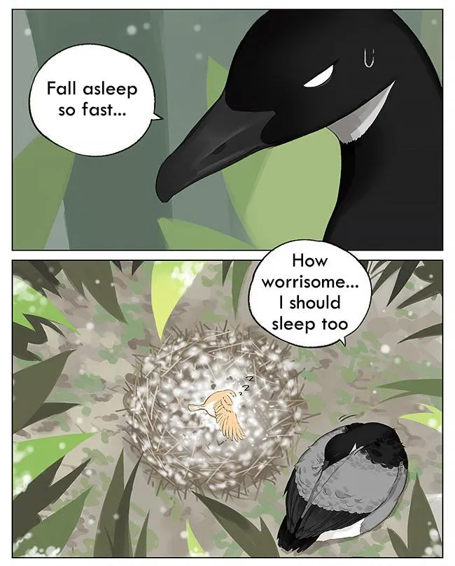 Southern Bird and Northern Bird Chapter 5 page 8 - 