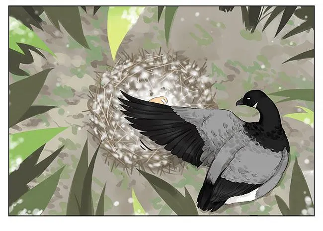 Southern Bird and Northern Bird Chapter 5 page 10 - 