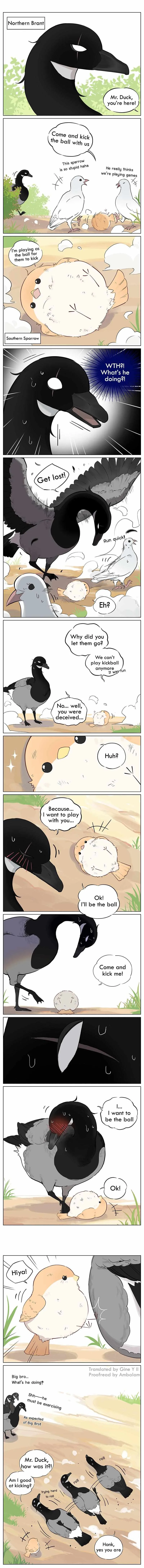 Southern Bird and Northern Bird Chapter 50 page 2 - 