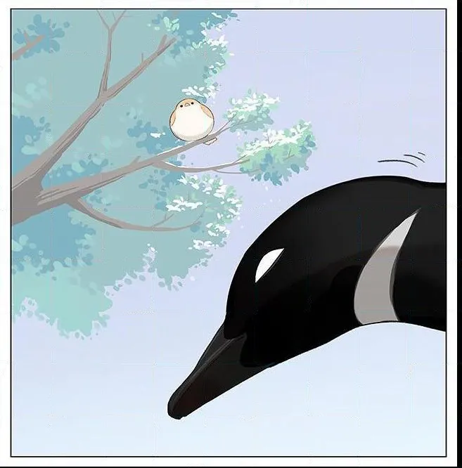 Southern Bird and Northern Bird Chapter 6 page 3 - 