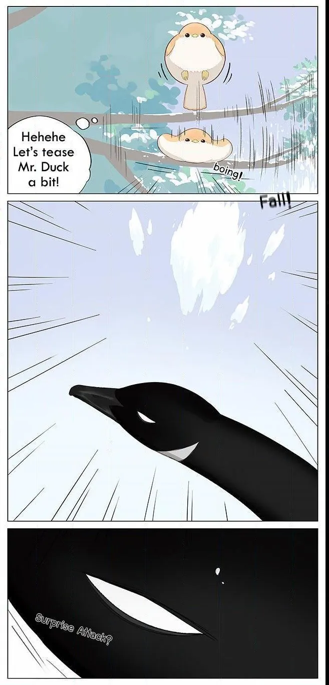 Southern Bird and Northern Bird Chapter 6 page 4 - 