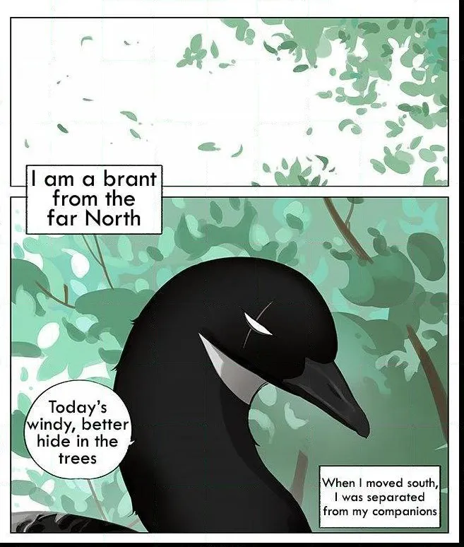 Southern Bird and Northern Bird Chapter 7 page 1 - 