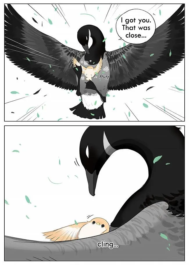 Southern Bird and Northern Bird Chapter 7 page 7 - 