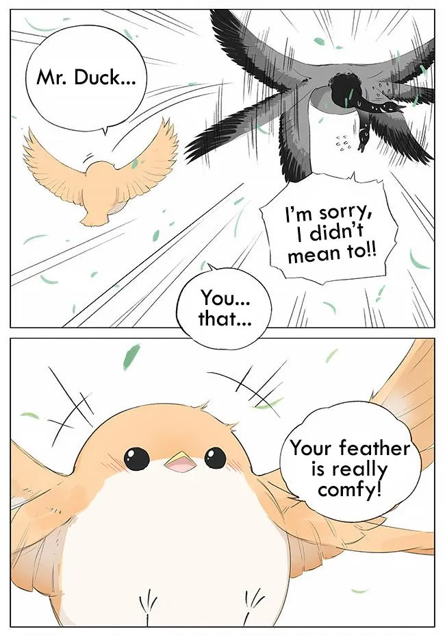 Southern Bird and Northern Bird Chapter 7 page 8 - 