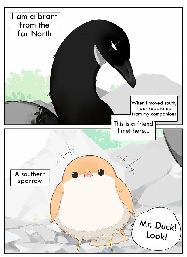 Southern Bird and Northern Bird Chapter 8 page 1 - 