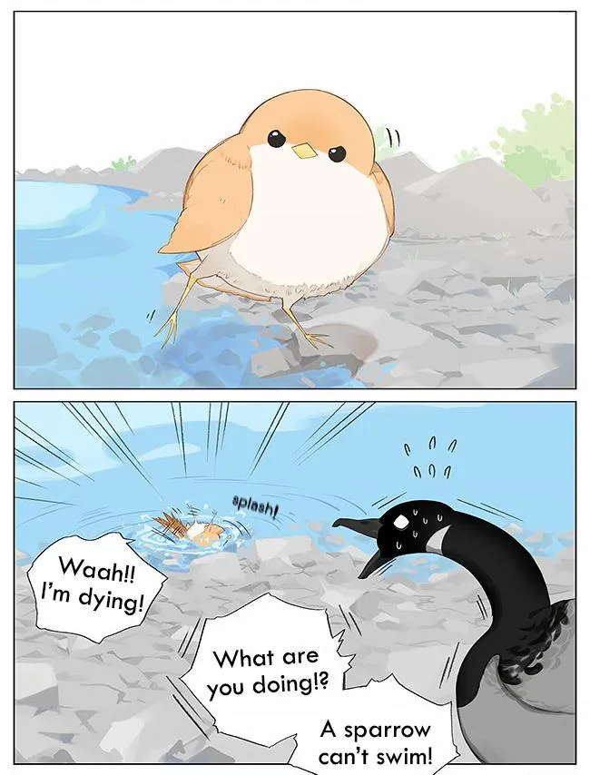 Southern Bird and Northern Bird Chapter 8 page 3 - 