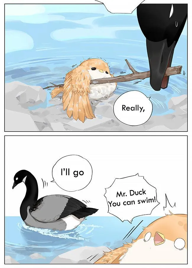 Southern Bird and Northern Bird Chapter 8 page 4 - 