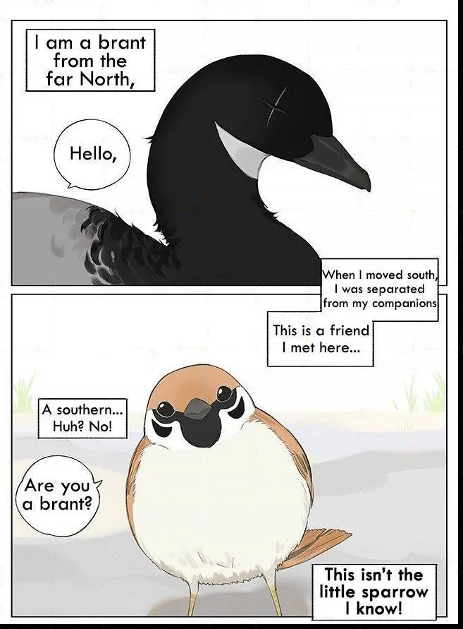 Southern Bird and Northern Bird Chapter 9 page 1 - 