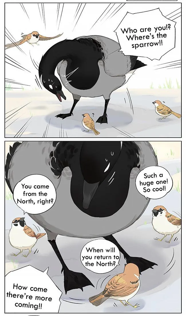 Southern Bird and Northern Bird Chapter 9 page 2 - 