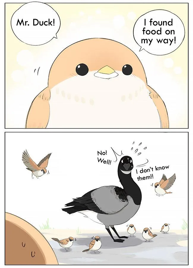 Southern Bird and Northern Bird Chapter 9 page 3 - 