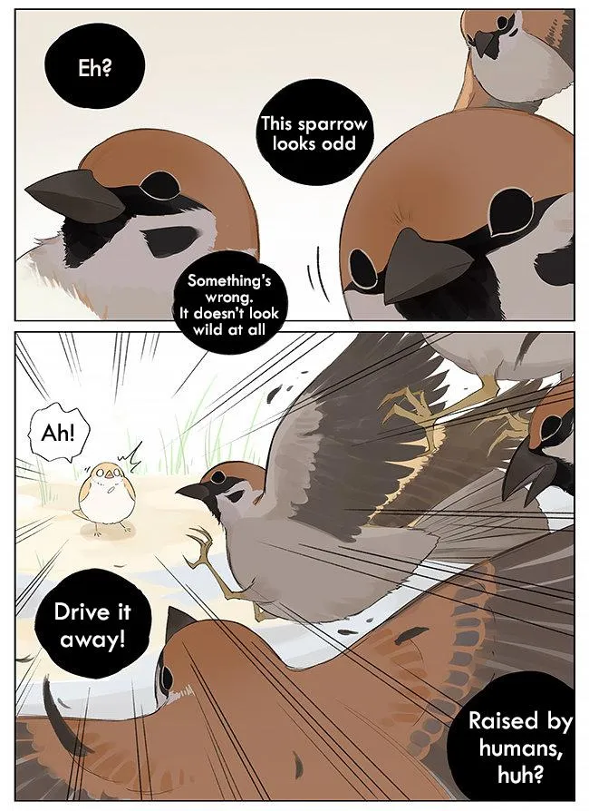 Southern Bird and Northern Bird Chapter 9 page 4 - 