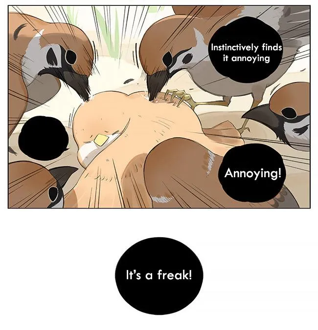 Southern Bird and Northern Bird Chapter 9 page 5 - 