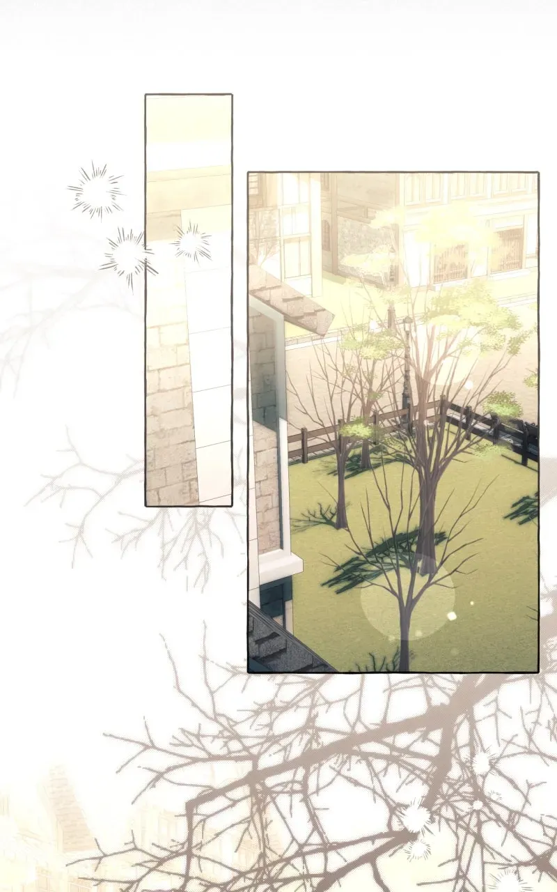 Special Re-Launch: Not YourTypical Reincarnation Story Chapter 114 page 13 - 
