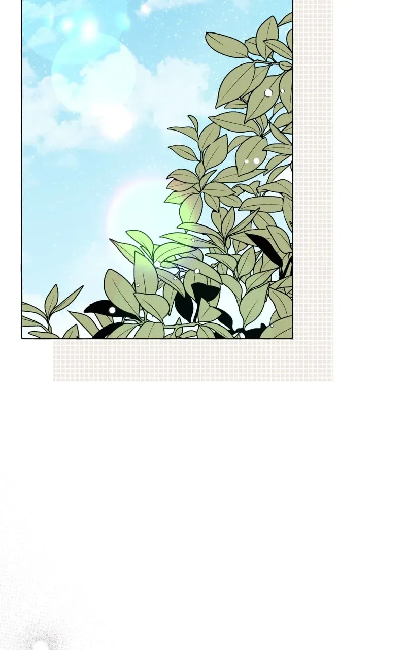 Special Re-Launch: Not YourTypical Reincarnation Story Chapter 15 page 61 - 