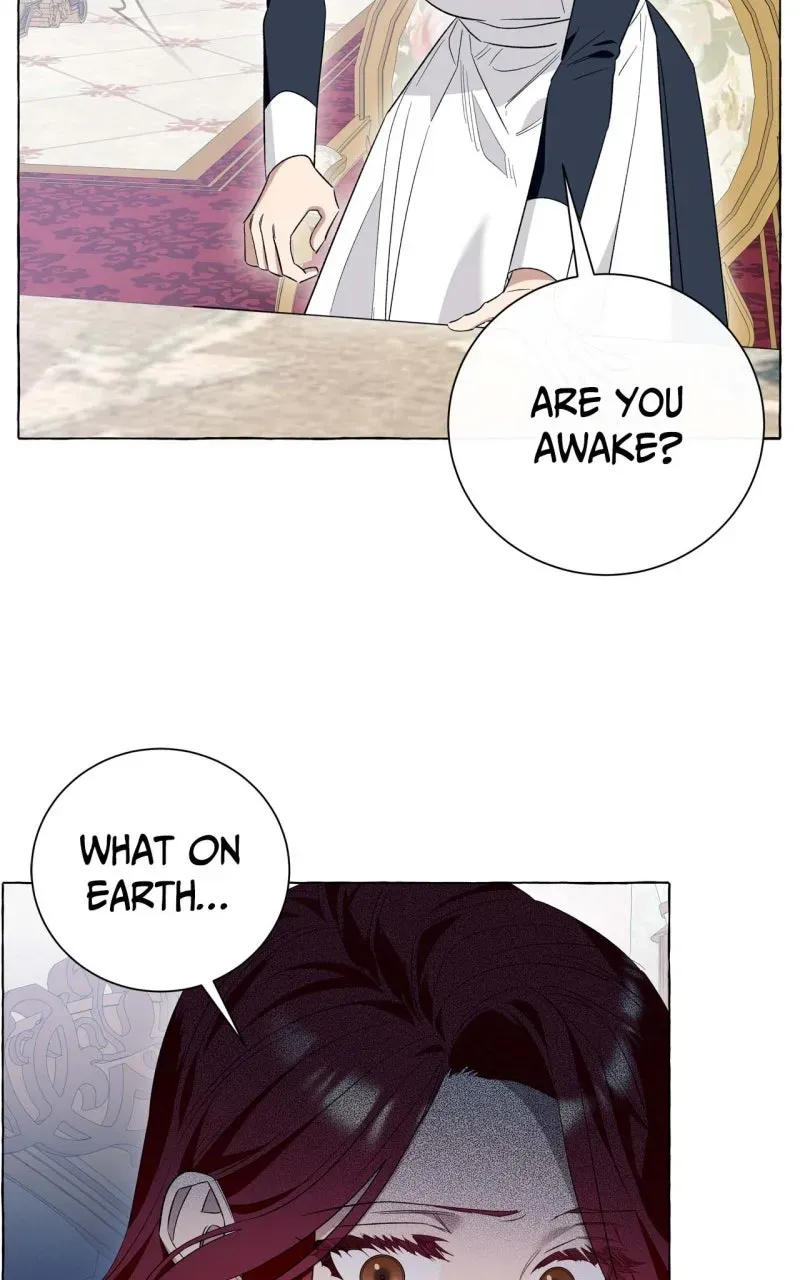 Special Re-Launch: Not YourTypical Reincarnation Story Chapter 19 page 68 - 
