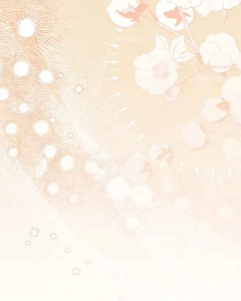 Special Re-Launch: Not YourTypical Reincarnation Story Chapter 25 page 38 - 