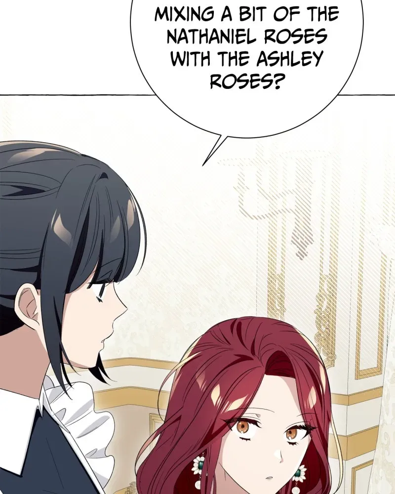 Special Re-Launch: Not YourTypical Reincarnation Story Chapter 9 page 29 - 