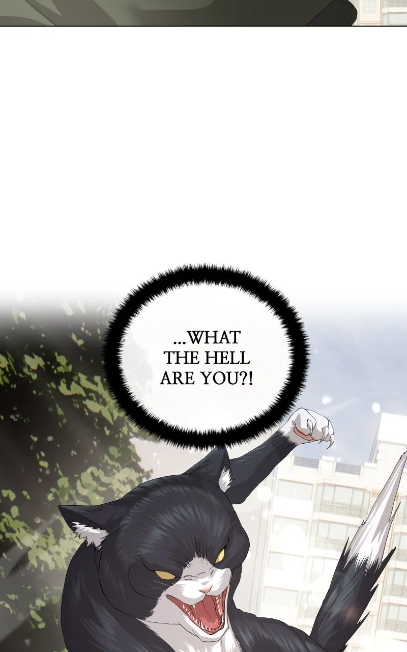 Special Civil Servant Chapter 55 page 137 - 