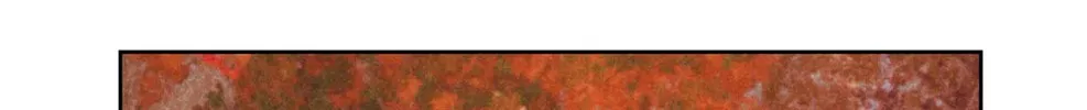 Spinach Bouquet Chapter 60 page 68 - 