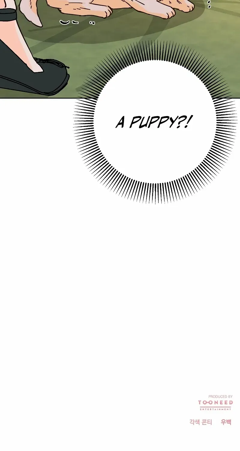 Spring Fever Chapter 19 page 66 - 