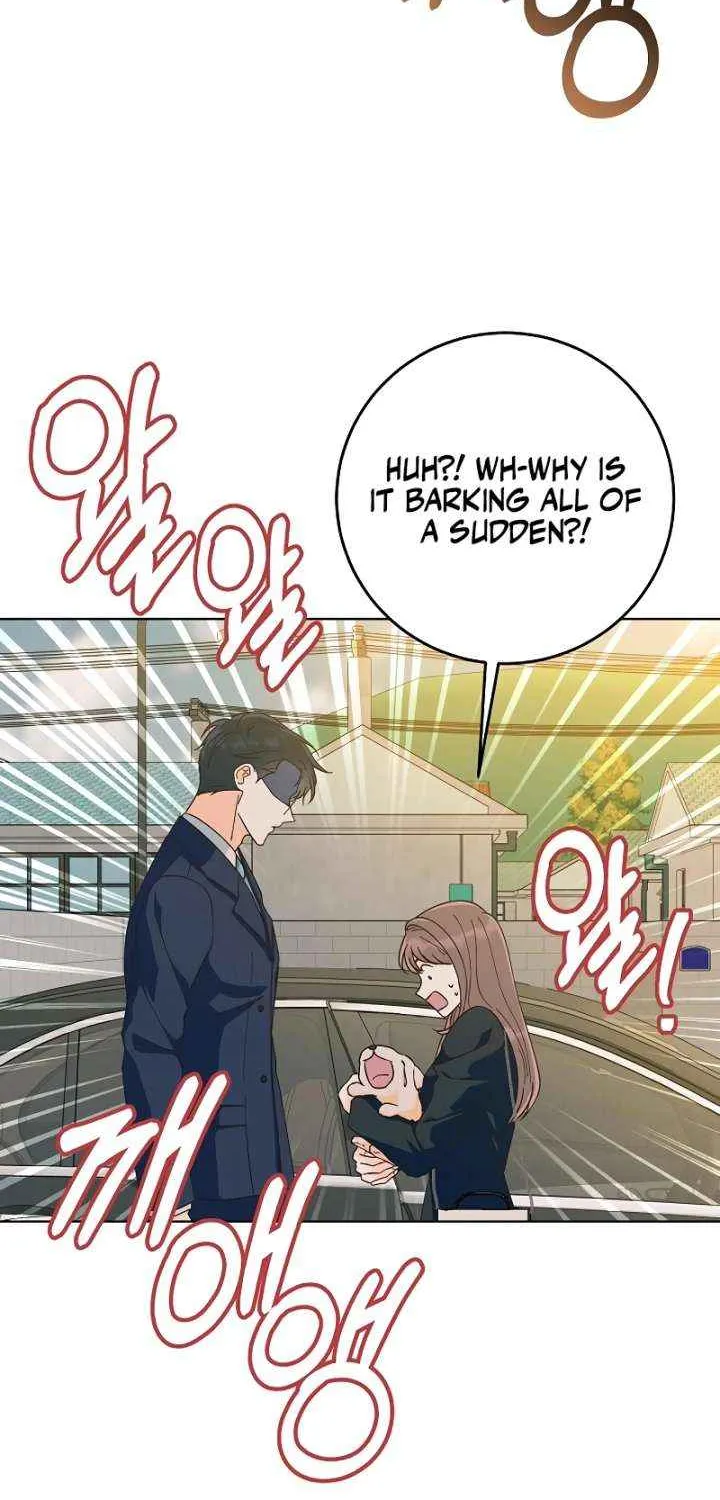 Spring Fever Chapter 20 page 37 - 