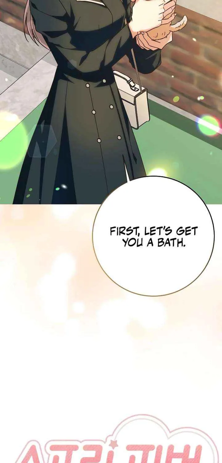 Spring Fever Chapter 20 page 43 - 