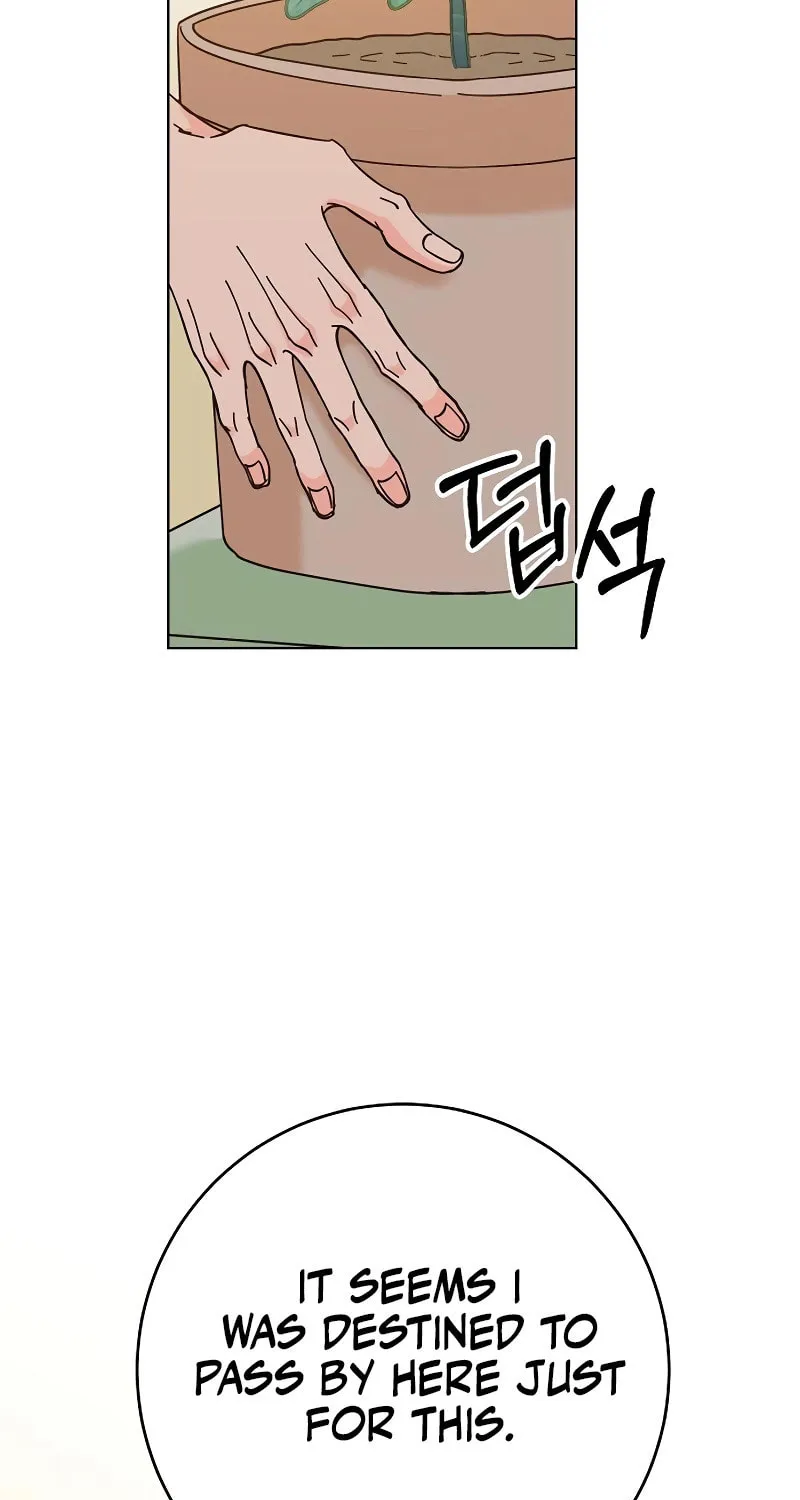Spring Fever Chapter 5 page 3 - 